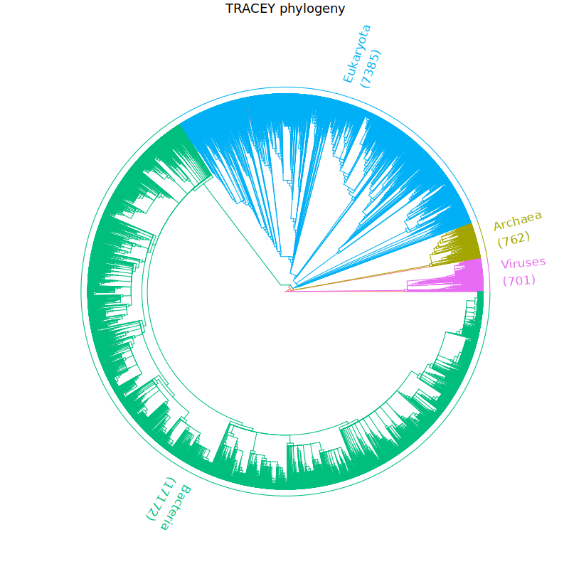 TRACEY phylogenetic tree